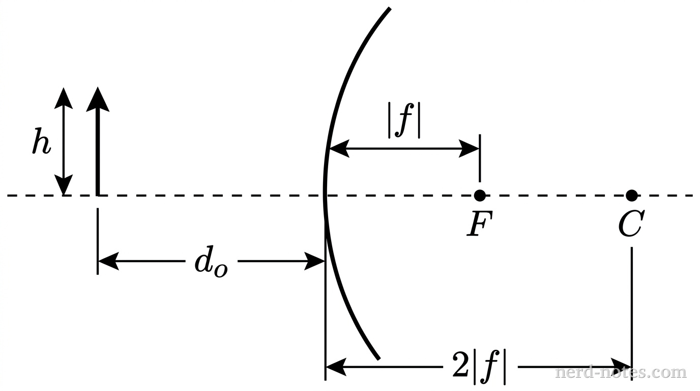 A horizontal principal axis line extends across the diagram. A convex spherical mirror is positioned vertically at the center, curving outward toward the left (the reflective side facing left). On the left side of the mirror, an object represented by a vertical upward-pointing arrow of height \(h\) stands on the principal axis at a distance \(d_o\) from the mirror vertex. On the right side of the mirror along the principal axis, a focal point labeled \(F\) is marked at distance \(|f|\) from the vertex, and a center of curvature labeled \(C\) is marked at distance \(2|f|\) from the vertex. No other labels, lines, text, or axes appear.