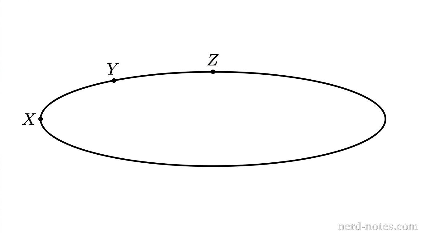 A smooth, elongated, oval-shaped conducting shell (prolate ellipsoid) centered horizontally. Point X is located at the far-left narrow end where the surface curvature is greatest. Point Z is located at the top center where the surface curvature is smallest (flattest). Point Y is located on the upper-left boundary between point X and point Z, where the curvature is intermediate. No charge signs or external field lines are shown.