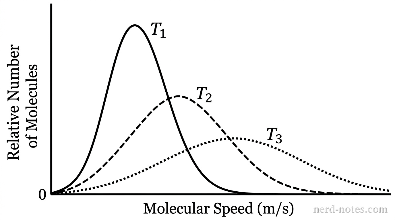 A 2D line graph titled 'Molecular Speed Distribution of Ar(g)' showing relative number of molecules on the vertical axis labeled 'Relative Number of Molecules' versus molecular speed on the horizontal axis labeled 'Molecular Speed (m/s)'. The origin (0,0) is shown with bare axes without gridlines. Three distribution curves start near zero at low speeds, rise to a single peak, and tail off to the right. Curve 1 is a solid black line with a tall, narrow peak centered at approximately 350 m/s and labeled 'T1' near its apex. Curve 2 is a dashed black line with an intermediate height peak centered at approximately 500 m/s and labeled 'T2' near its apex. Curve 3 is a dotted black line with a broad, low peak centered at approximately 700 m/s and labeled 'T3' near its apex. The enclosed areas beneath all three curves are visually equal. No other lines, labels, text, or annotations appear.