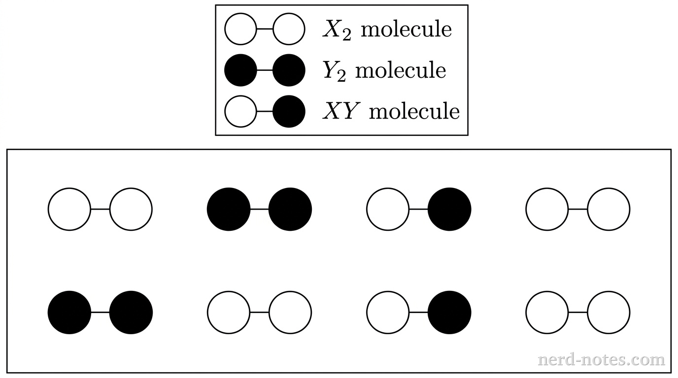 Particulate representation of the gas mixture