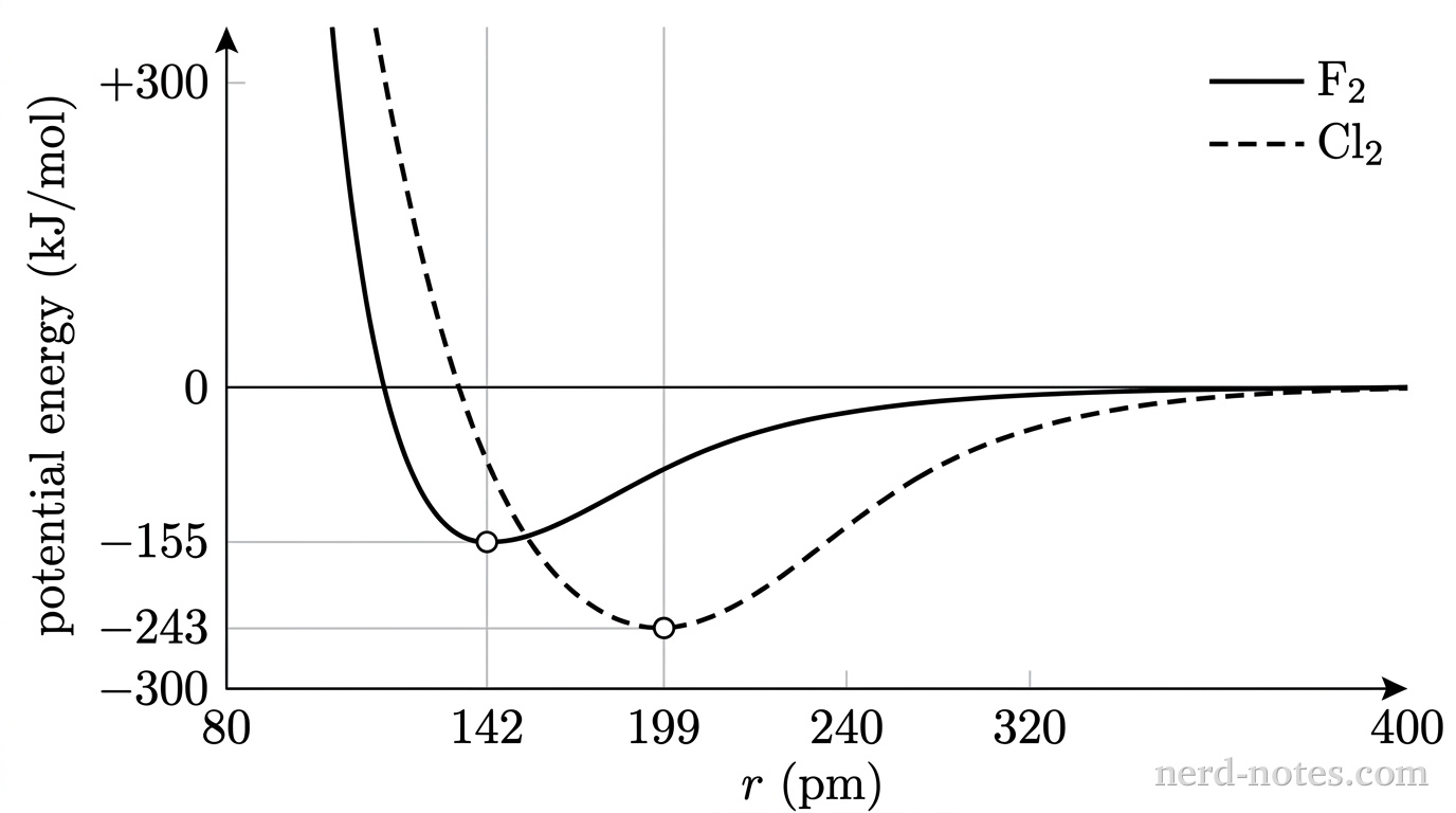 Draw a grayscale graph of potential energy versus internuclear distance. The horizontal axis is labeled \(r\) (pm), extends from 80 to 400, and has marked ticks at 142 and 199. The vertical axis is labeled potential energy (kJ/mol), extends from \(-300\) to \(+300\), and has marked ticks at \(-243\), \(-155\), and 0. A legend maps a solid curve to \(\text{F}_2\) and a long-dashed curve to \(\text{Cl}_2\). Use light gridlines through the marked ticks. Each curve rises steeply above \(+300\) at small separations, descends smoothly to one minimum, and approaches 0 from below at large separations. The solid minimum is exactly at \((142,-155)\); the long-dashed minimum is exactly at \((199,-243)\). Place one open circular marker at each minimum. No other curves, labels, text, or annotations appear.