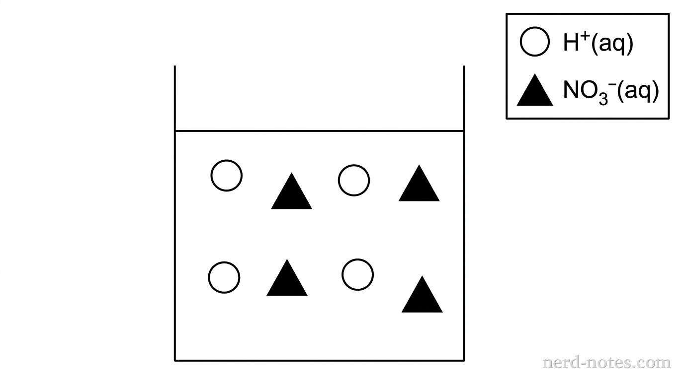 Legend first, in the upper right corner: an open white circle represents \(\text{H}^{+}\text{(aq)}\), and a solid black triangle represents \(\text{NO}_3^{-}\text{(aq)}\). Draw one upright rectangular beaker outlined in black with a horizontal liquid level near the top. Within the liquid, place exactly four open white circles and exactly four solid black triangles. Arrange the eight particles in two staggered rows, with two particles of each shape in each row. Keep all particles separated and away from the beaker walls. Every particle icon represents the same amount of its species. Do not show water molecules, bonds, pairing between oppositely charged ions, or a precipitate. No other particles, labels, text, or annotations appear.