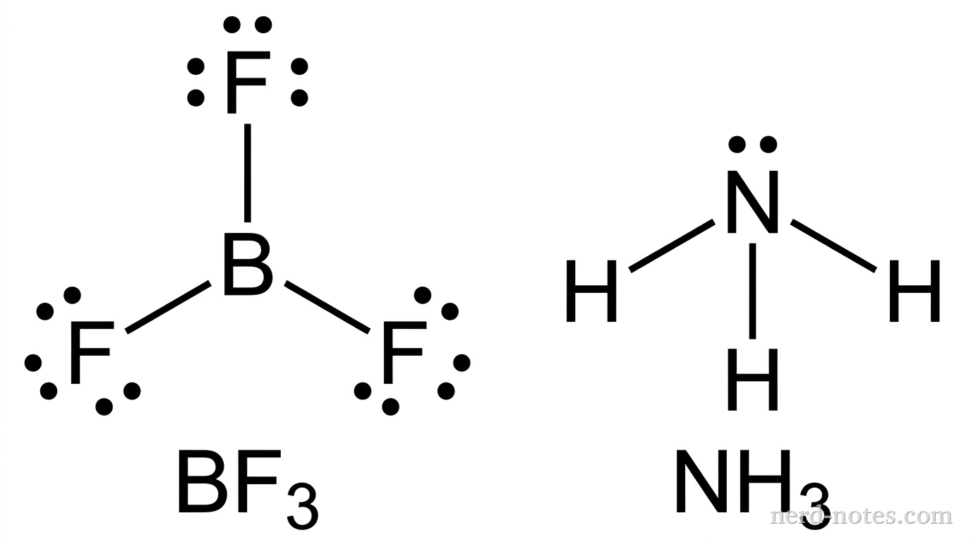 Two molecular Lewis structures are shown side-by-side in black line art on a white background. On the left, labeled \(\text{BF}_3\), a central \(\text{B}\) atom is bonded by three single solid lines to three surrounding \(\text{F}\) atoms in a trigonal planar arrangement at \(120^\circ\) angles (one bond pointing straight up, two pointing downward and outward). Each \(\text{F}\) atom has exactly three pairs of electron dots (six dots total per \(\text{F}\)) on its non-bonding sides. The central \(\text{B}\) atom has zero lone pairs and no other dots. On the right, labeled \(\text{NH}_3\), a central \(\text{N}\) atom has one pair of electron dots directly above it and is bonded by three single solid lines to three surrounding \(\text{H}\) atoms angled downward in a trigonal pyramidal shape. Each \(\text{H}\) atom has zero lone pairs. No other particles, labels, charges, partial charge symbols, vectors, or annotations appear.