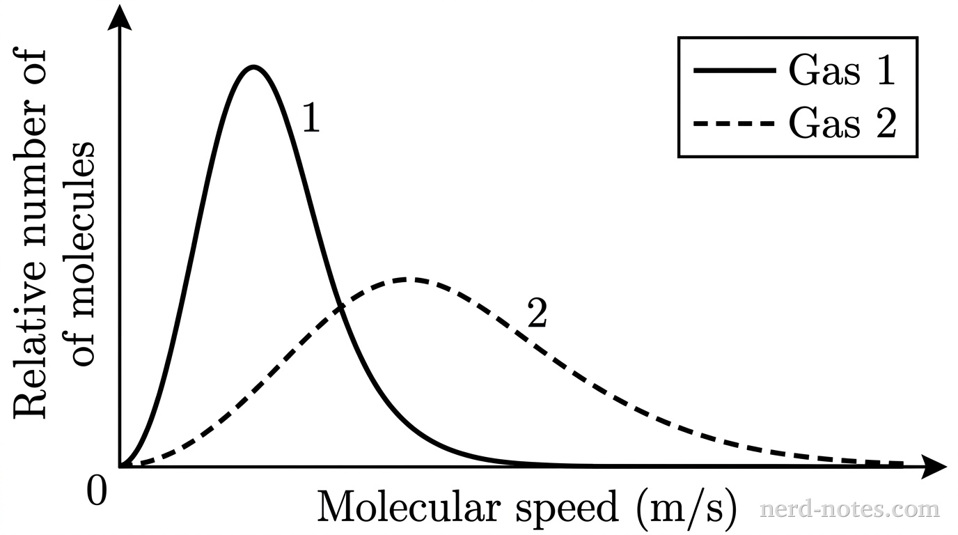 A line graph displaying molecular speed distributions on bare axes without gridlines. The horizontal axis is labeled 'Molecular speed (m/s)' and the vertical axis is labeled 'Relative number of molecules'. Both axes originate at (0, 0). Two curves are plotted starting at the origin: Curve 1 (rendered as a solid curve) rises sharply to a tall, narrow peak located at a relatively low speed value, then decreases and tapers off. Curve 2 (rendered as a dashed curve) rises more gradually to a lower, broader peak positioned further to the right at a higher speed value, with a long tail extending to high speeds. A legend located in the upper right quadrant indicates: solid line = Gas 1; dashed line = Gas 2. No other lines, labels, text, or annotations appear.