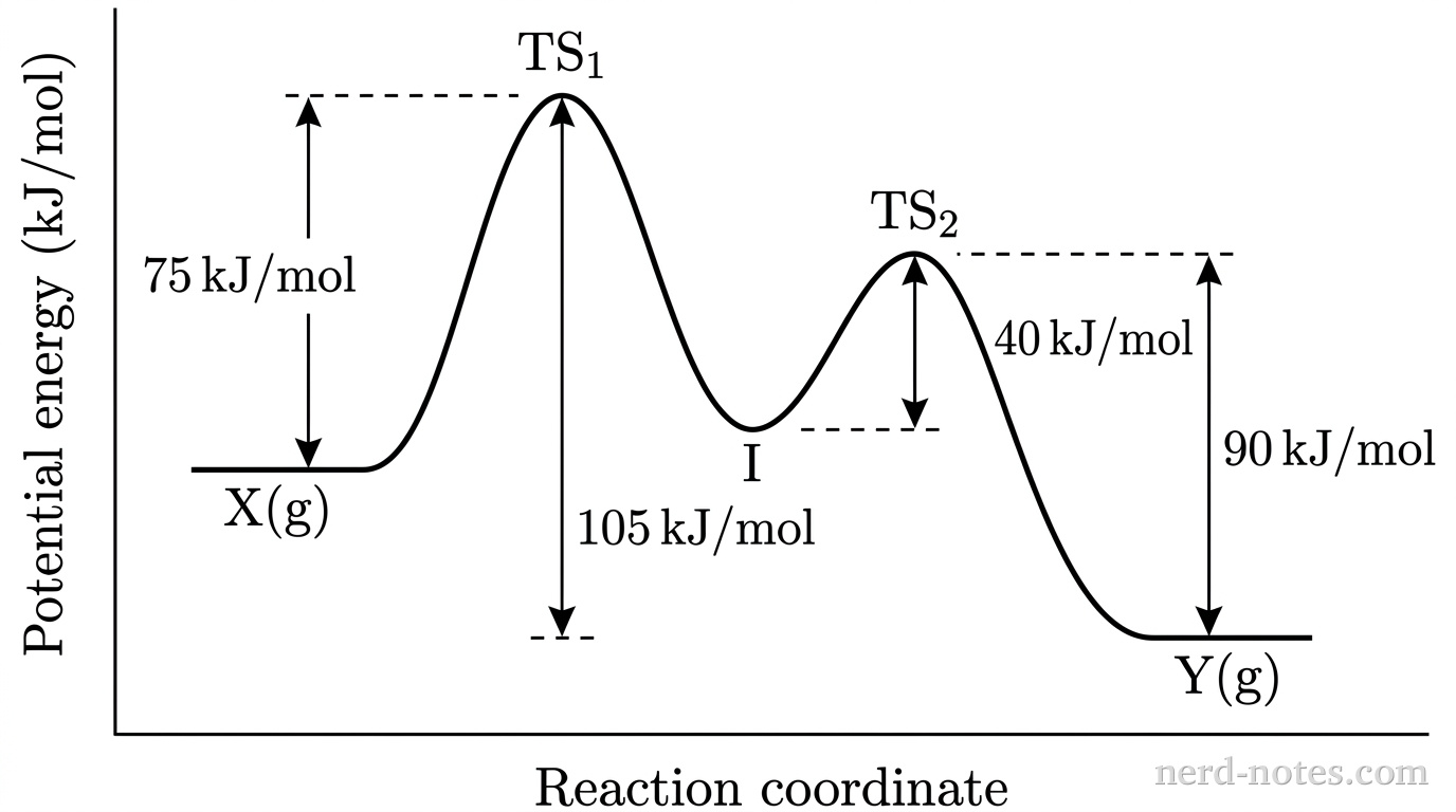 Draw a grayscale potential-energy graph on bare axes with no gridlines. Label the vertical axis “Potential energy (\(\text{kJ/mol}\))” and the horizontal axis “Reaction coordinate.” A single solid black curve begins at a horizontal reactant plateau labeled \(\text{X(g)}\), rises to the first and highest peak labeled \(\text{TS}_1\), falls to a local minimum labeled \(\text{I}\), rises to a lower second peak labeled \(\text{TS}_2\), and ends at a horizontal product plateau labeled \(\text{Y(g)}\) below the reactant level. Add exactly \(4\) vertical double-headed arrows: reactant level to first-peak height, \(75\text{ kJ/mol}\); product level to first-peak height, \(105\text{ kJ/mol}\); intermediate level to second-peak height, \(40\text{ kJ/mol}\); product level to second-peak height, \(90\text{ kJ/mol}\). Use short dashed horizontal guides only at arrow endpoints. Place arrows outside the curve. No legend or other text appears.