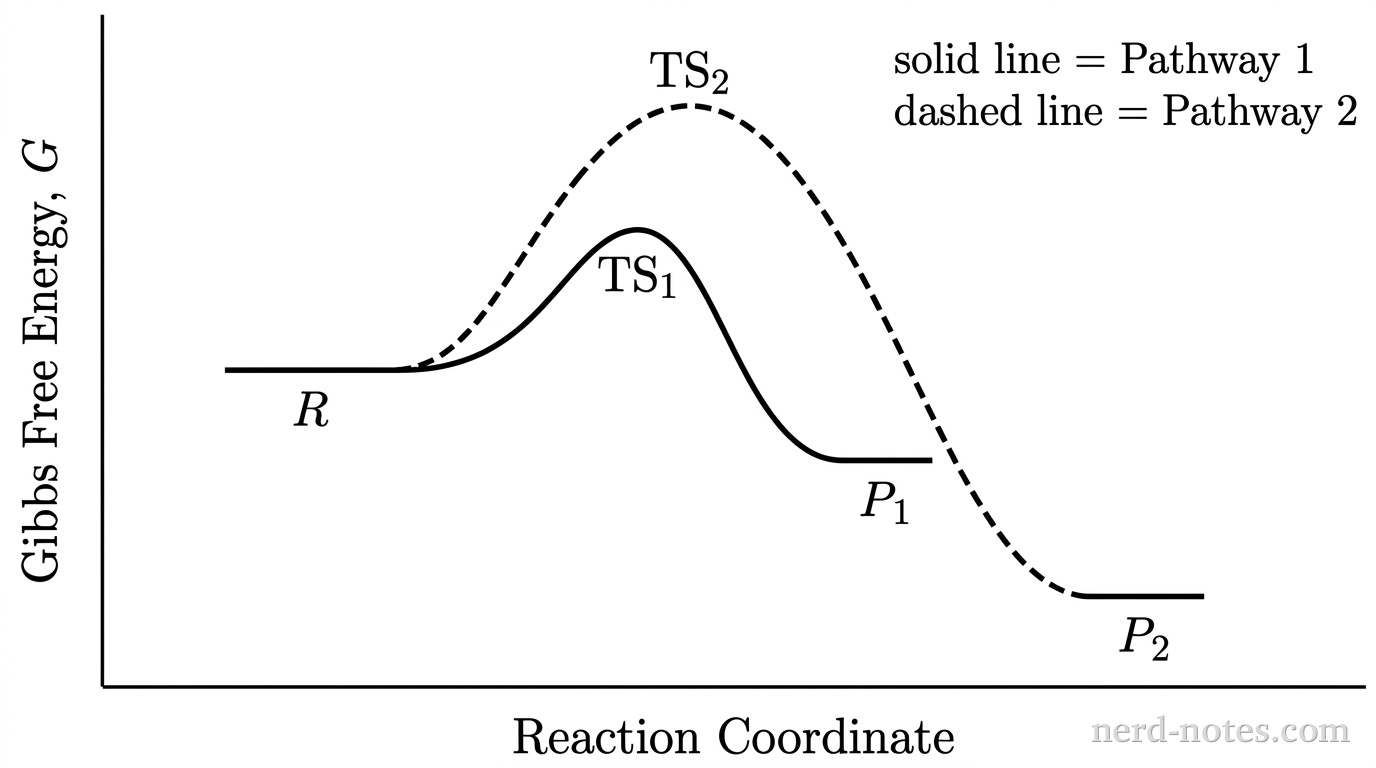 A reaction energy profile graph is displayed on bare vertical and horizontal axes without gridlines. The vertical axis is labeled Gibbs Free Energy, G. The horizontal axis is labeled Reaction Coordinate. A single horizontal plateau labeled R is located at an intermediate energy level on the left. Two curves originate from R and branch to the right. Pathway 1 is drawn as a solid black curve that rises to a transition state peak labeled TS1 and then descends to a product plateau labeled P1 located below the energy level of R. Pathway 2 is drawn as a dashed black curve that rises to a transition state peak labeled TS2, positioned significantly higher than TS1, and then descends to a product plateau labeled P2 located significantly lower in energy than both R and P1. A legend in the upper right corner indicates: solid line = Pathway 1, dashed line = Pathway 2. No other particles, labels, text, or annotations appear.
