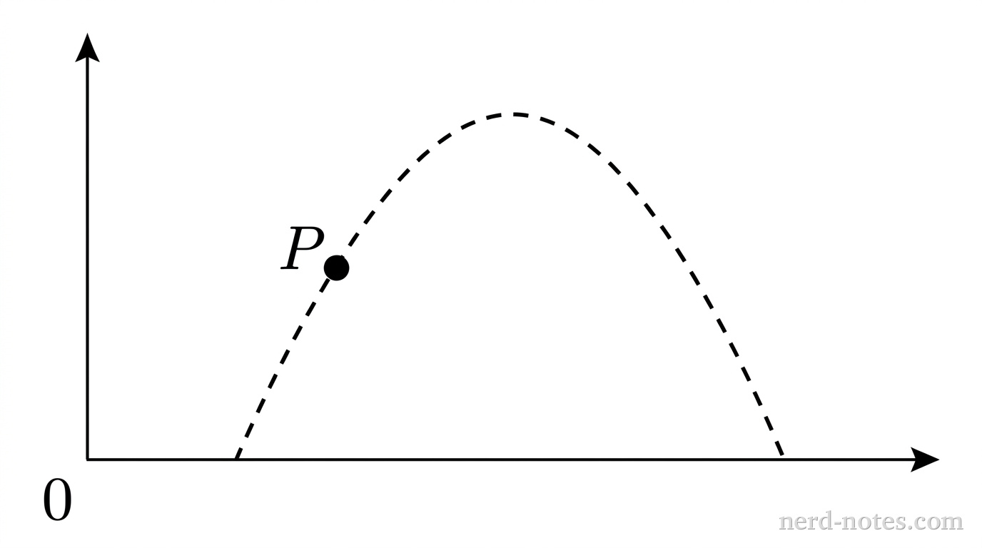 A two-dimensional Cartesian plane showing a dashed parabolic trajectory launched from the horizontal axis, curving upward to an apex, and descending back to the horizontal axis. A solid black dot labeled P is marked on the ascending portion of the dashed curve, halfway between the launch point and the apex. No other labels, vectors, or annotations appear.