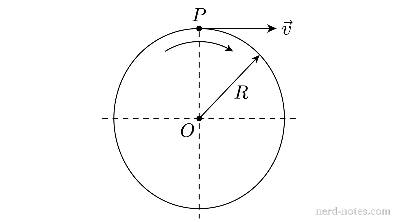 A circular disk of radius \(R\) is shown in a vertical plane with its center labeled \(O\). A horizontal dashed line and a vertical dashed line intersect at the center \(O\). At the very top perimeter of the disk is a solid point labeled \(P\). A straight solid arrow originates at point \(P\), points horizontally to the right, and is labeled \(\vec{v}\). A curved arrow near the top edge indicates clockwise rotation. A straight dimension line with arrowheads extends from the center \(O\) to the perimeter labeled \(R\). No other labels, lines, text, or axes appear.