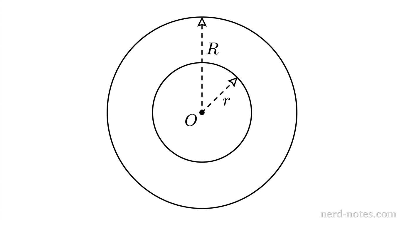 Two concentric coplanar circular loops of radii r and R.