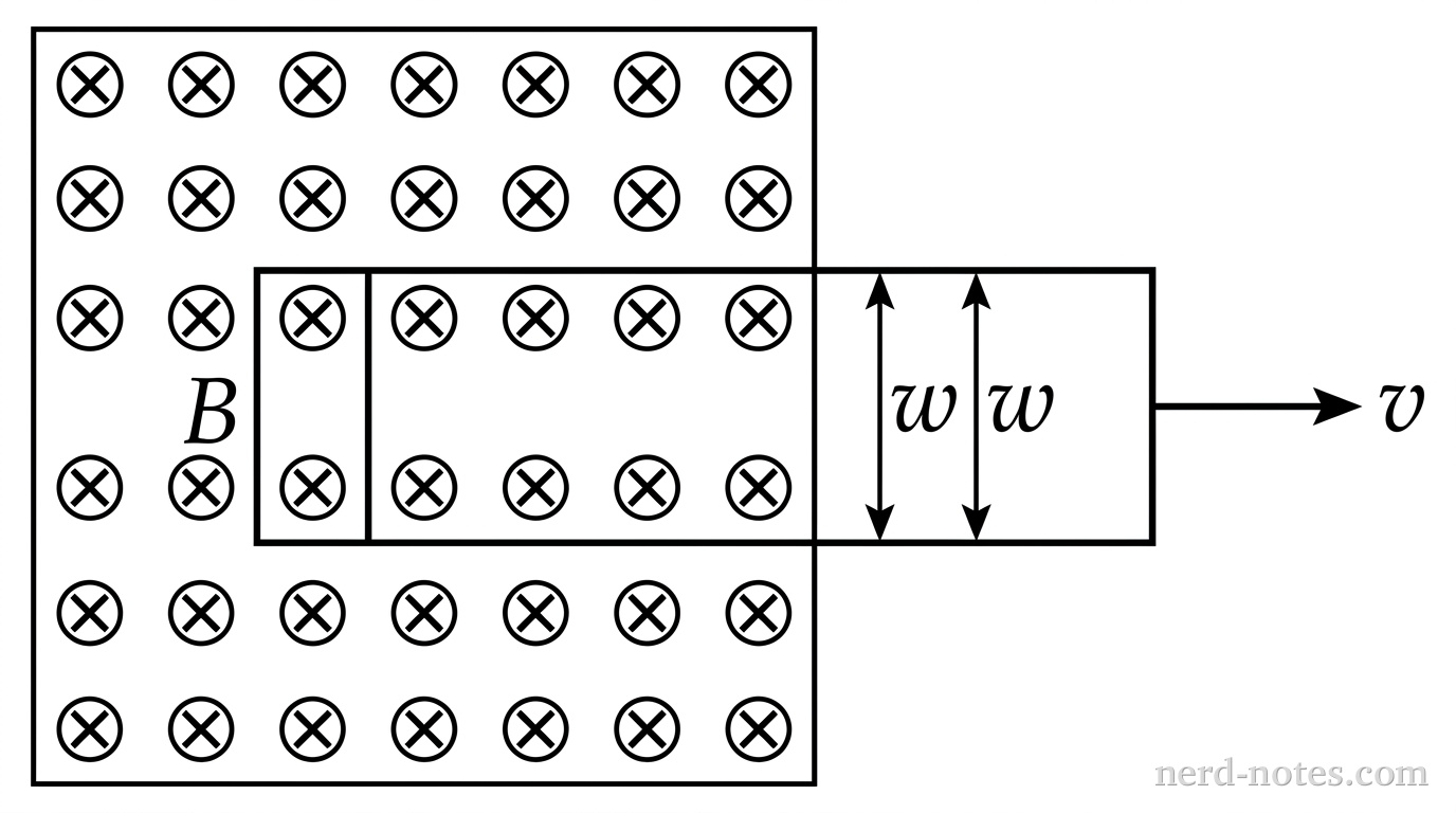 A rectangular region on the left contains a grid of six rows and six columns of cross marks representing a uniform magnetic field \(B\) directed into the page. A single rectangular conducting wire loop lies horizontally in the plane of the page, with its left side inside the magnetic field region and its right side outside the magnetic field region. A single horizontal arrow pointing to the right is attached to the right edge of the loop and labeled \(v\). A double-ended vertical dimension arrow spans the vertical edge of the loop and is labeled \(w\). No other labels, lines, text, or axes appear.