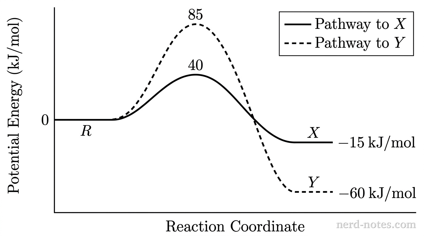 A reaction energy profile graph plotted on bare axes without gridlines. The vertical axis is labeled Potential Energy (kJ/mol) and the horizontal axis is labeled Reaction Coordinate. A horizontal reactant plateau at 0 kJ/mol is labeled R. A solid curve for Pathway to X rises from R to an activation barrier peak at 40 kJ/mol, then descends to a product plateau at -15 kJ/mol labeled X. A dashed curve for Pathway to Y rises from R to an activation barrier peak at 85 kJ/mol, then descends to a lower product plateau at -60 kJ/mol labeled Y. A legend in the upper-right corner contains two entries: a solid line labeled Pathway to X and a dashed line labeled Pathway to Y. No other lines, curves, labels, or annotations appear.