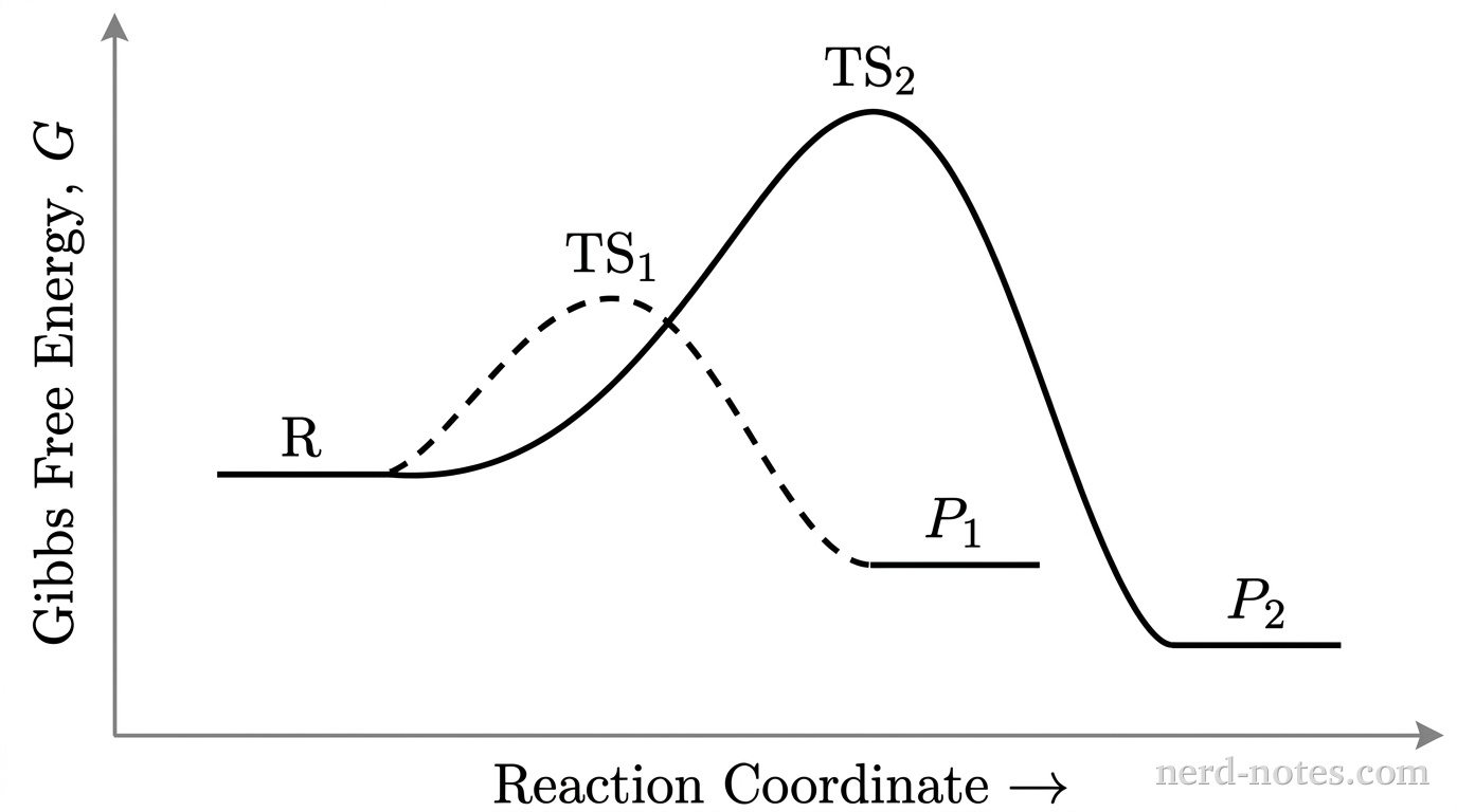 A reaction energy profile graph with bare axes and no gridlines. The horizontal x-axis is labeled Reaction Coordinate with an arrow pointing to the right. The vertical y-axis is labeled Gibbs Free Energy, \(G\), with an arrow pointing upward. A flat horizontal line segment on the left represents reactant \(\text{R}\) at an intermediate free energy level. Two curves emerge from \(\text{R}\). The first curve is a dashed line that rises to a moderate peak labeled \(\text{TS}_1\) and descends to a flat horizontal line segment labeled \(\text{P}_1\), positioned below the energy of \(\text{R}\). The second curve is a solid line that rises to a higher peak labeled \(\text{TS}_2\) (higher than \(\text{TS}_1\)) and descends to a flat horizontal line segment labeled \(\text{P}_2\), positioned below the energy of \(\text{P}_1\). No other particles, labels, text, or annotations appear.