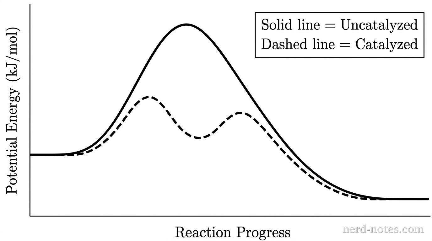 Potential energy profile for uncatalyzed (solid line) and catalyzed (dashed line) pathways of \(2\,\text{N}_2\text{O}(g) \rightarrow 2\,\text{N}_2(g) + \text{O}_2(g)\).