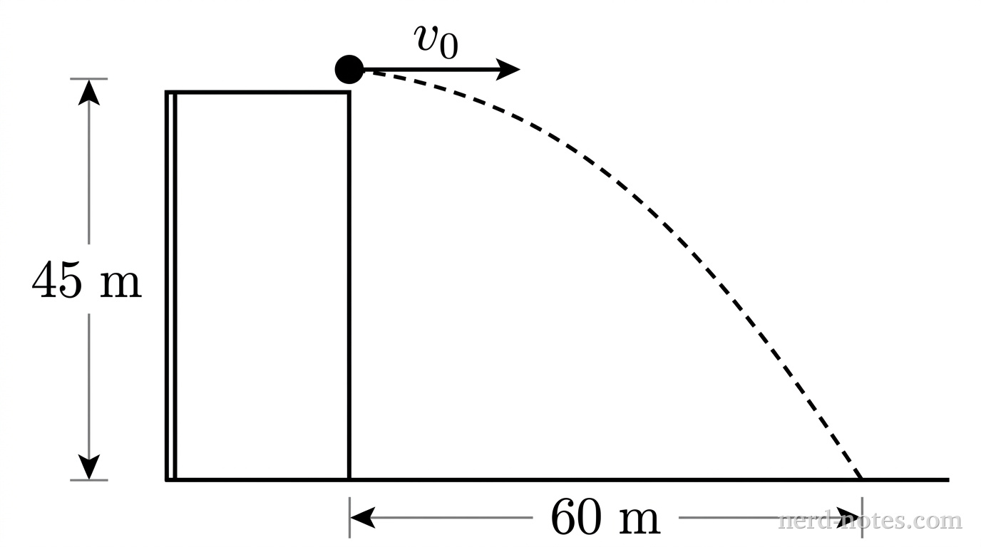 A vertical rectangle representing a building of height labeled \(45\text{ m}\) stands on a flat horizontal ground line. At the top right corner of the building, a small solid circle representing a stone is shown with a horizontal rightward arrow labeled \(v_0\). A dashed downward-curving parabolic arc extends from the stone to the ground. A horizontal dimension line between the base of the building and the landing point on the ground is labeled \(60\text{ m}\). No other labels, lines, text, or axes appear.