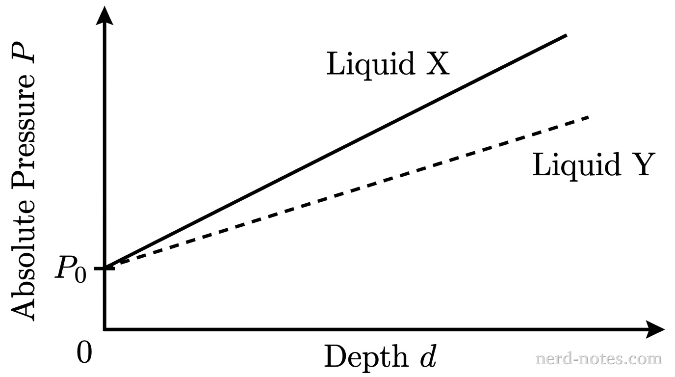 Absolute pressure versus depth for Liquid X and Liquid Y.