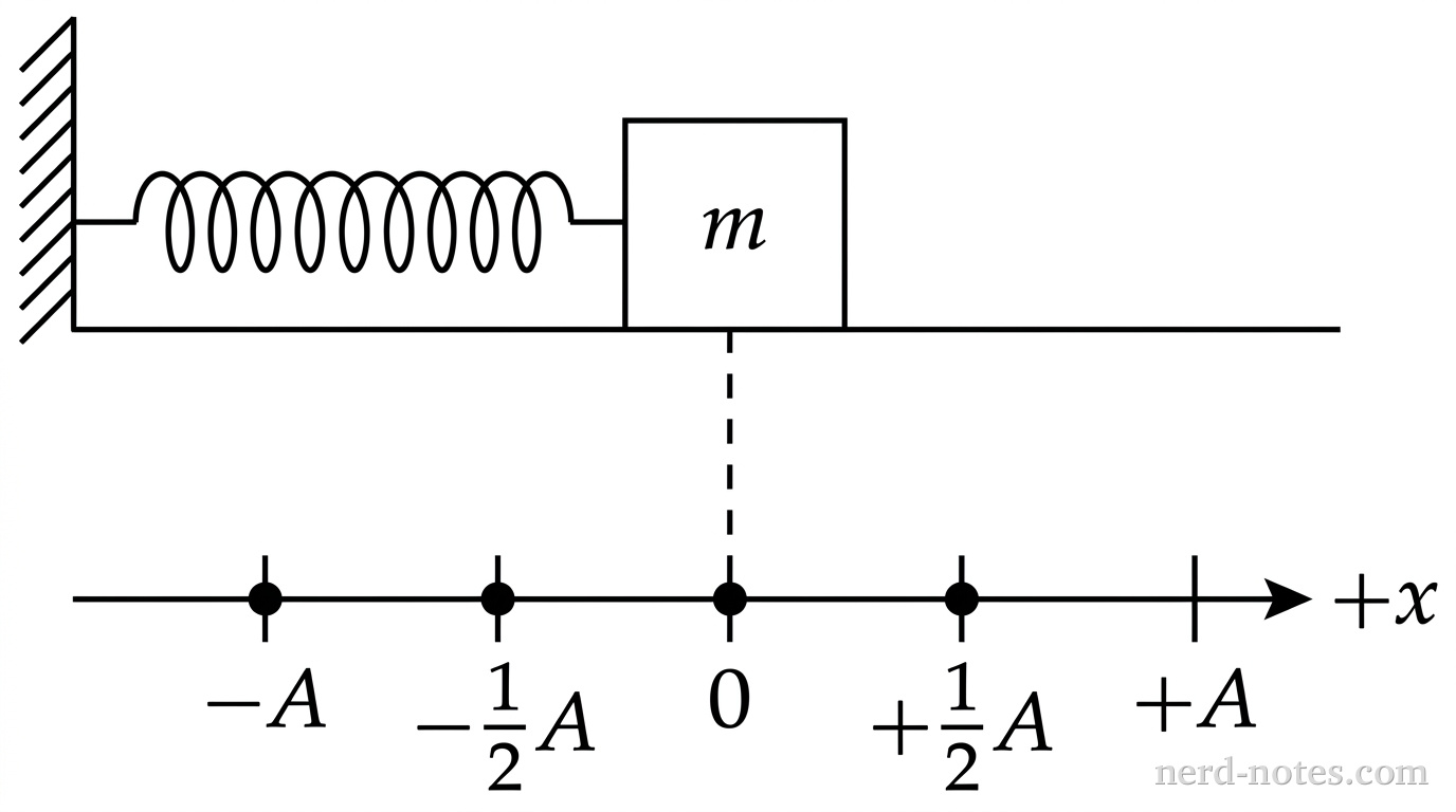 Block oscillating on a horizontal spring across labeled positions.