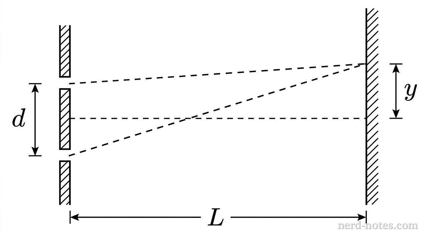 A horizontal diagram showing a vertical barrier on the left containing two narrow slits separated by vertical distance d. A vertical viewing screen is situated on the right at a horizontal distance L from the barrier. A horizontal dashed centerline extends perpendicular from the midpoint between the slits to the center of the screen. Two dashed straight lines extend from the two slits to a single common point on the screen located at a vertical displacement y above the centerline. No other labels, lines, text, or axes appear.