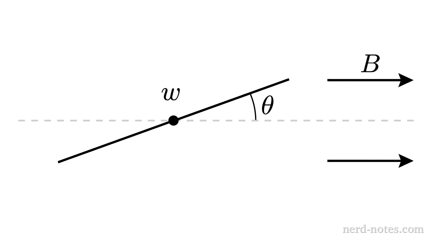 A schematic top-down view showing a rectangular coil pivoted about a central vertical axis. Two horizontal parallel arrows pointing to the right represent a uniform magnetic field labeled B. A tilted solid line segment of length w represents the top edge of the coil, centered on a small filled circle representing the vertical rotation axis. A horizontal dashed reference line passes through the center dot parallel to B. An acute angle labeled \theta is indicated between the tilted segment and the horizontal dashed reference line. No other labels, lines, text, or axes appear.