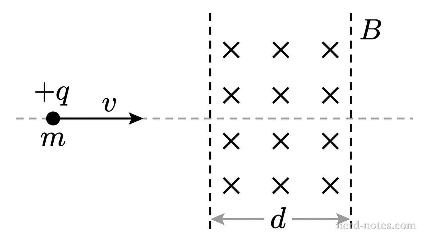 A schematic diagram in grayscale. On the left, a positive point charge labeled +q with mass m moves horizontally to the right with a horizontal vector arrow labeled v. The particle is directly in line with a vertically oriented rectangular region of width d. The magnetic field region is bounded by two vertical parallel dashed lines separated horizontally by distance d, indicated by a horizontal double-headed dimension arrow labeled d between them. Inside the rectangular region, a regular 3 by 4 array of cross symbols represents a uniform magnetic field directed into the page, labeled B at the upper right. A horizontal dashed line extends along the particle's initial path. No other labels, lines, text, or axes appear.
