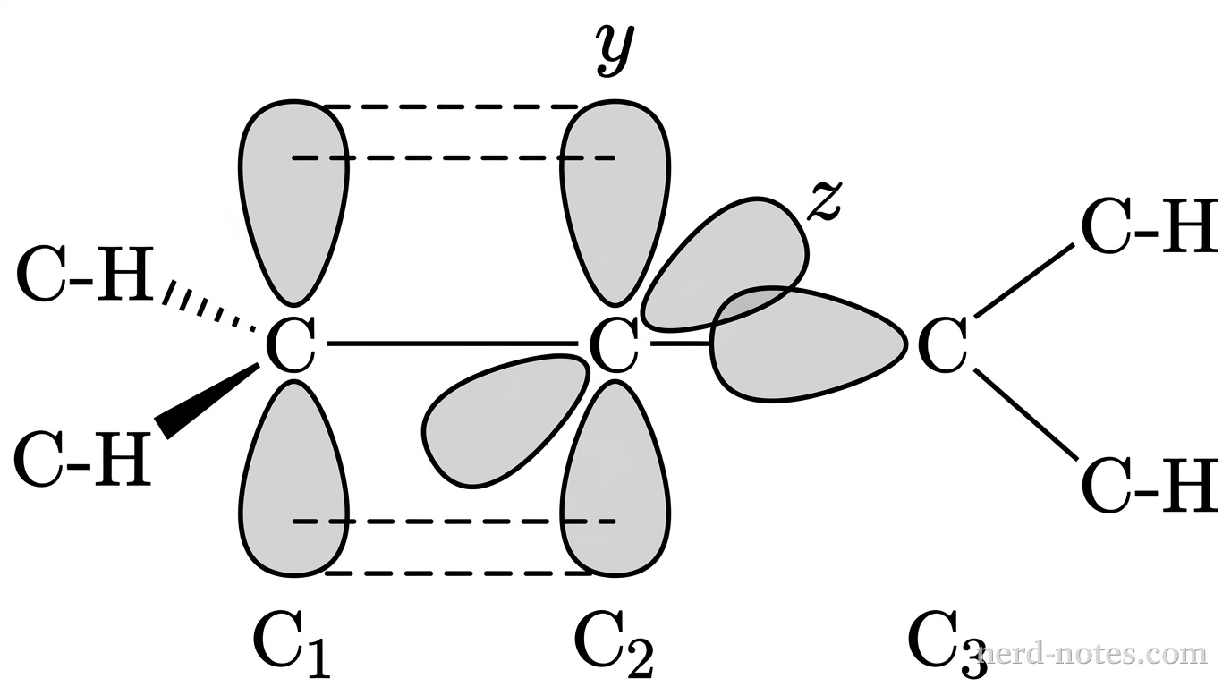A grayscale schematic diagram illustrating the orbital overlap in propadiene along a horizontal axis. Three carbon atoms are arranged linearly and labeled from left to right as \(\text{C}_1\), \(\text{C}_2\), and \(\text{C}_3\). The central carbon \(\text{C}_2\) displays two mutually perpendicular unhybridized \(p\)-orbitals: a vertical pair of lobes (oriented along the \(y\)-axis) and a perpendicular pair of lobes projecting forward and backward (oriented along the \(z\)-axis). The left terminal carbon \(\text{C}_1\) has a single vertical unhybridized \(p\)-orbital whose lobes overlap side-by-side (indicated by parallel dashed lines) with the vertical lobes of \(\text{C}_2\). The right terminal carbon \(\text{C}_3\) has a single unhybridized \(p\)-orbital oriented along the \(z\)-axis whose lobes overlap side-by-side with the \(z\)-axis lobes of \(\text{C}_2\). Two \(\text{C-H}\) bonds on \(\text{C}_1\) lie in the horizontal plane (one wedge, one dash), while two \(\text{C-H}\) bonds on \(\text{C}_3\) lie in the vertical plane (solid lines pointing up-right and down-right). No other particles, labels, text, or annotations appear.