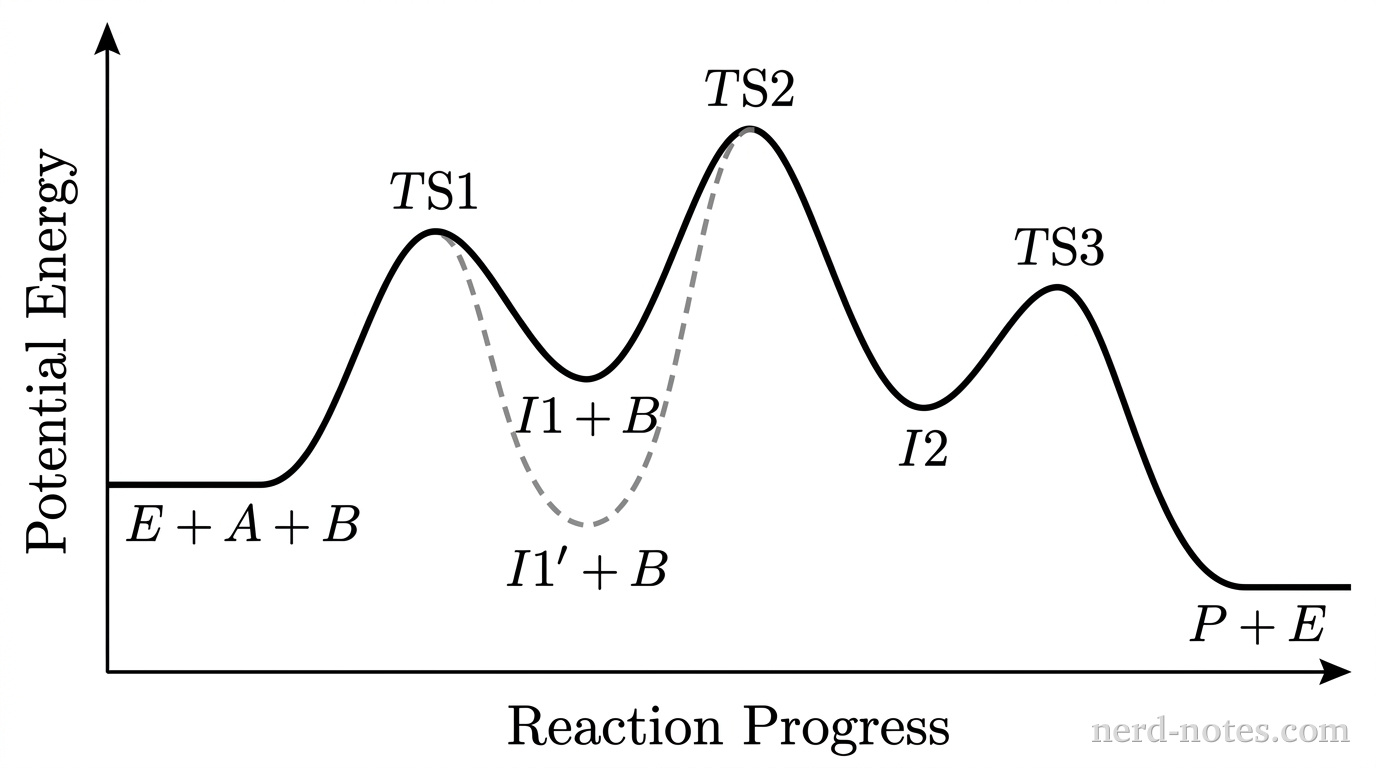Grayscale reaction energy profile plot showing Potential Energy on the vertical axis versus Reaction Progress on the horizontal axis. Axes are bare lines with arrowheads. A solid black curve starts at the initial reactant baseline labeled E + A + B, rises to a first peak labeled TS1, dips to a first local minimum labeled I1 + B, rises to a higher second peak labeled TS2, dips to a second local minimum labeled I2, rises to a lower third peak labeled TS3, and descends to a final product level labeled P + E below the reactant baseline. A dashed gray curve follows the solid curve to TS1, dips to a noticeably deeper local minimum labeled I1' + B, and then rises back up to reach the exact same peak height at TS2 before rejoining the solid curve for the remainder of the pathway. No other lines, gridlines, labels, or annotations appear.