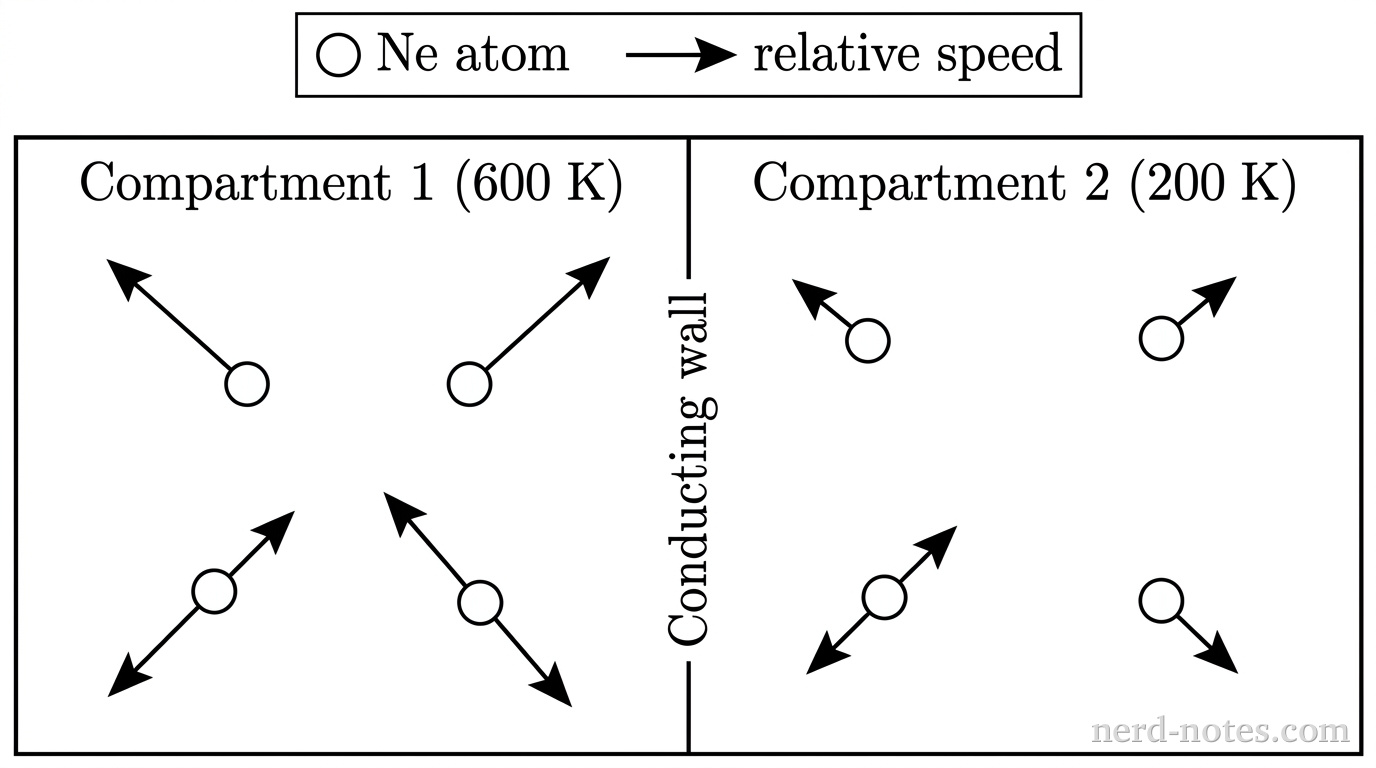 A rectangular box is divided into two equal-sized left and right compartments by a vertical solid line labeled "Conducting wall". A legend at the top reads: open white circle = Ne atom, arrow length = relative speed. The left compartment is labeled "Compartment 1 (600 K)" and contains exactly 4 open white circles representing Ne atoms, evenly dispersed. Each circle has a straight black arrow pointing outward in a random direction; all 4 arrows are long (length equal to 25% of compartment width). The right compartment is labeled "Compartment 2 (200 K)" and contains exactly 4 open white circles representing Ne atoms, evenly dispersed. Each circle has a straight black arrow pointing outward in a random direction; all 4 arrows are short (length equal to 8% of compartment width). No other particles, labels, text, or annotations appear.