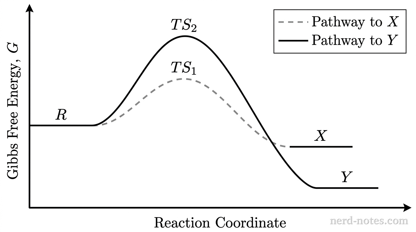 A grayscale reaction energy profile with a vertical axis labeled 'Gibbs Free Energy, \(G\)' and a horizontal axis labeled 'Reaction Coordinate'. Both axes have arrows indicating increasing direction; no gridlines appear. At the far left, a horizontal plateau represents the initial state labeled '\(\text{R}\)'. From '\(\text{R}\)', two smooth curves split into competing reaction pathways. The first curve, drawn with a dashed line, ascends to a lower peak labeled '\(\text{TS}_1\)' and descends to a horizontal plateau labeled '\(\text{X}\)' that lies below '\(\text{R}\)'. The second curve, drawn with a solid line, ascends to a higher peak labeled '\(\text{TS}_2\)' and descends to a horizontal plateau labeled '\(\text{Y}\)' that lies substantially lower than both '\(\text{R}\)' and '\(\text{X}\)'. A legend in the upper-right corner indicates: dashed line = Pathway to \(\text{X}\), solid line = Pathway to \(\text{Y}\). No other curves, gridlines, labels, or annotations appear.