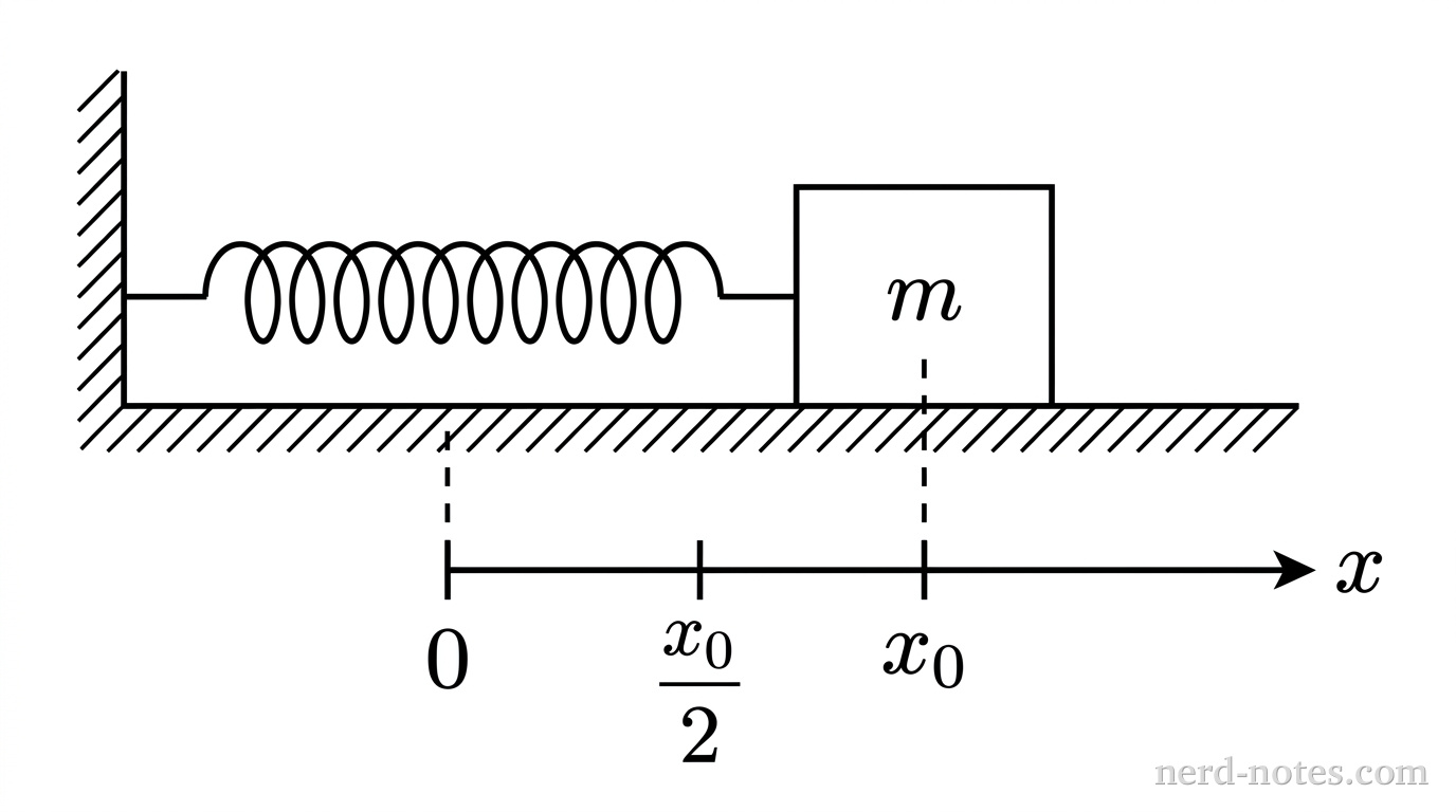 A horizontal surface is indicated by a straight horizontal line. At the left end of the line, a vertical wall is shown as a solid vertical line. A horizontal coiled spring extends from the wall to the right, attached to a rectangular block labeled m. A horizontal coordinate axis with an arrow pointing to the right is positioned below the surface, labeled x. On this axis, three vertical tick marks are labeled from left to right as 0, \dfrac{x_0}{2}, and x_0. The center of the block is aligned with the tick mark labeled x_0. A dashed vertical line extends downward from the center of the block to the tick mark at x_0. A dashed vertical line also marks the position 0, representing the equilibrium position. No other labels, lines, text, or axes appear.