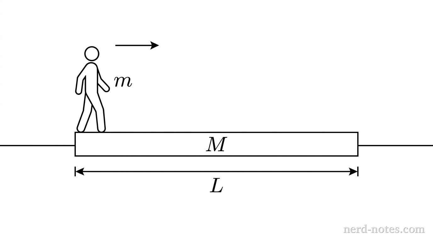 A side-view diagram of a person standing at the left end of a flatboat floating on water. A horizontal straight line represents the calm water surface. Resting horizontally on this surface is a narrow rectangular block representing the flatboat of mass \(M\). A horizontal double-headed dimension arrow extends along the bottom of the boat from its left edge to its right edge, labeled \(L\). Standing upright at the far left edge on top of the rectangular block is a stylized figure of a person of mass \(m\). A horizontal arrow pointing to the right above the person indicates the direction of walking. No other labels, lines, text, or axes appear.