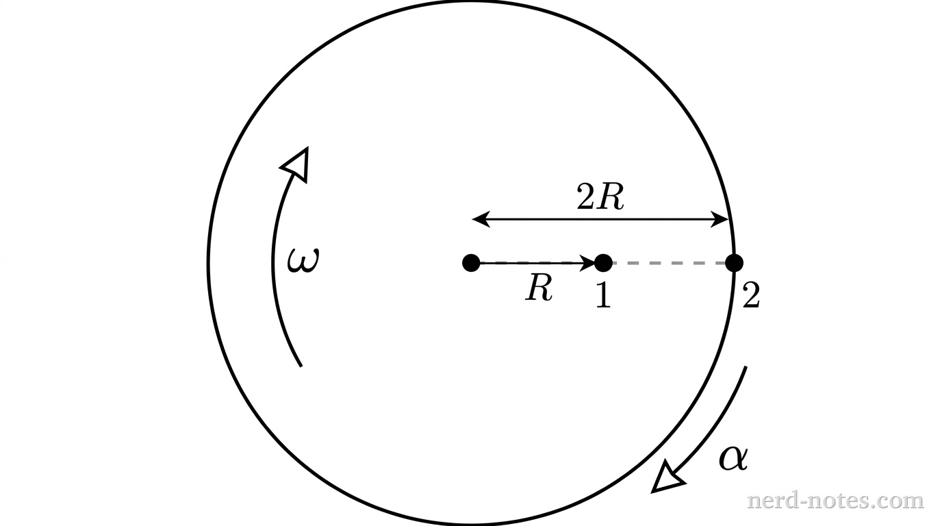 A top-down view of a circular disk of radius 2R centered on a fixed central axis marked with a small black dot. A horizontal dashed line segment extends from the center dot to the right edge of the disk. On this dashed line, Point 1 is indicated by a filled black dot at distance R from the center, labeled 1. Point 2 is indicated by a filled black dot at distance 2R from the center on the outer boundary, labeled 2. A curved counterclockwise arrow labeled \omega indicates the direction of rotation. A curved clockwise arrow labeled \alpha indicates the angular deceleration opposing the rotation. No other labels, lines, text, or axes appear.