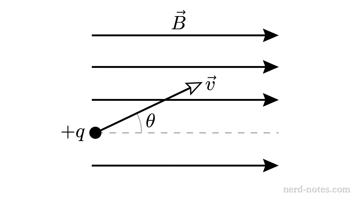 A coordinate plane showing a uniform magnetic field represented by four parallel horizontal arrows pointing to the right, with a label \vec{B} near the top arrow. At the left side, a small solid circle represents a particle with a label +q immediately to its left. An arrow labeled \vec{v} originates at the center of the solid circle and extends upward and to the right into the magnetic field region. A horizontal dashed reference line extends to the right from the center of the particle, parallel to the magnetic field arrows. An arc with an angle label \theta is drawn between the horizontal dashed reference line and the arrow \vec{v}. No other labels, lines, text, or axes appear.