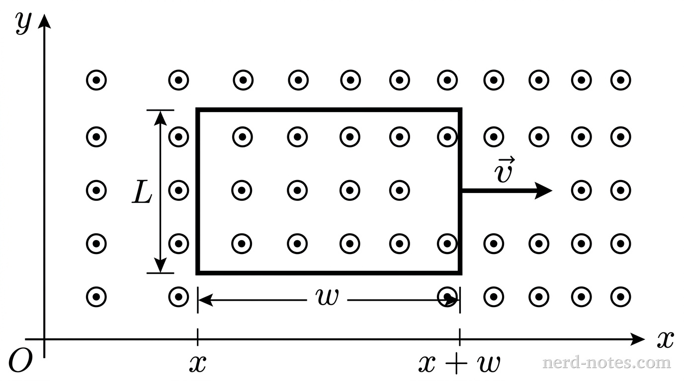 A Cartesian coordinate plane showing the horizontal x-axis directed to the right and the vertical y-axis directed upward, meeting at origin O. A rigid rectangular loop of wire lies in the first quadrant of the xy-plane with horizontal edges of length w and vertical edges of length L. The left vertical edge is aligned with coordinate x on the horizontal axis, and the right vertical edge is aligned with coordinate x + w. A horizontal arrow labeled v points to the right from the right edge of the loop. An array of encircled dots represents a magnetic field pointing out of the page along the positive z-axis, with the spacing between dots decreasing horizontally toward the right to indicate the field profile B(x) = \beta x^2. Dimension markings show w along the bottom edge and L along the left edge. No other labels, lines, text, or axes appear.